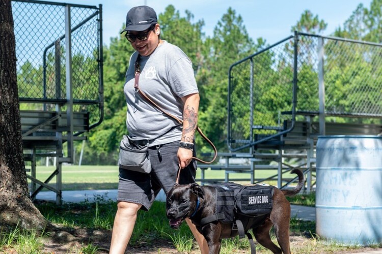 ‘เพื่อนร่วมชีวิต’: สุนัขช่วยเหลือเหล่านี้กำลังช่วยทหารผ่านศึกรับมือกับ PTSD